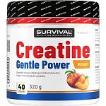 Creatine Monohydrate Gentle Power - 320 g, broskev