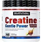 Creatine Monohydrate Gentle Power - 320 g, cola-citron (cuba libre)