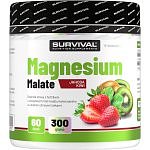 Magnesium Malate - 300 g, jahoda-kiwi