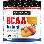 BCAA Instant - 300 g, meloun