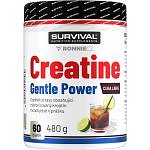 Creatine Monohydrate Gentle Power - 480 g, broskev